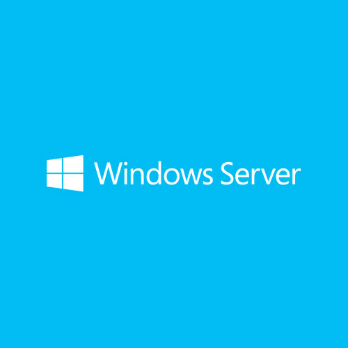 Windows Remote Desktop Server CAL 2022